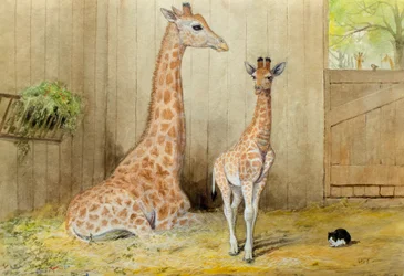 Giraffe mit Jungtier, 1852
